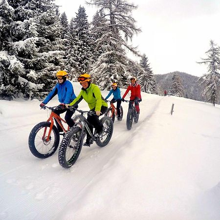 Bio-Holzhaus Und Landhaus Heimat Ramsau am Dachstein Ngoại thất bức ảnh