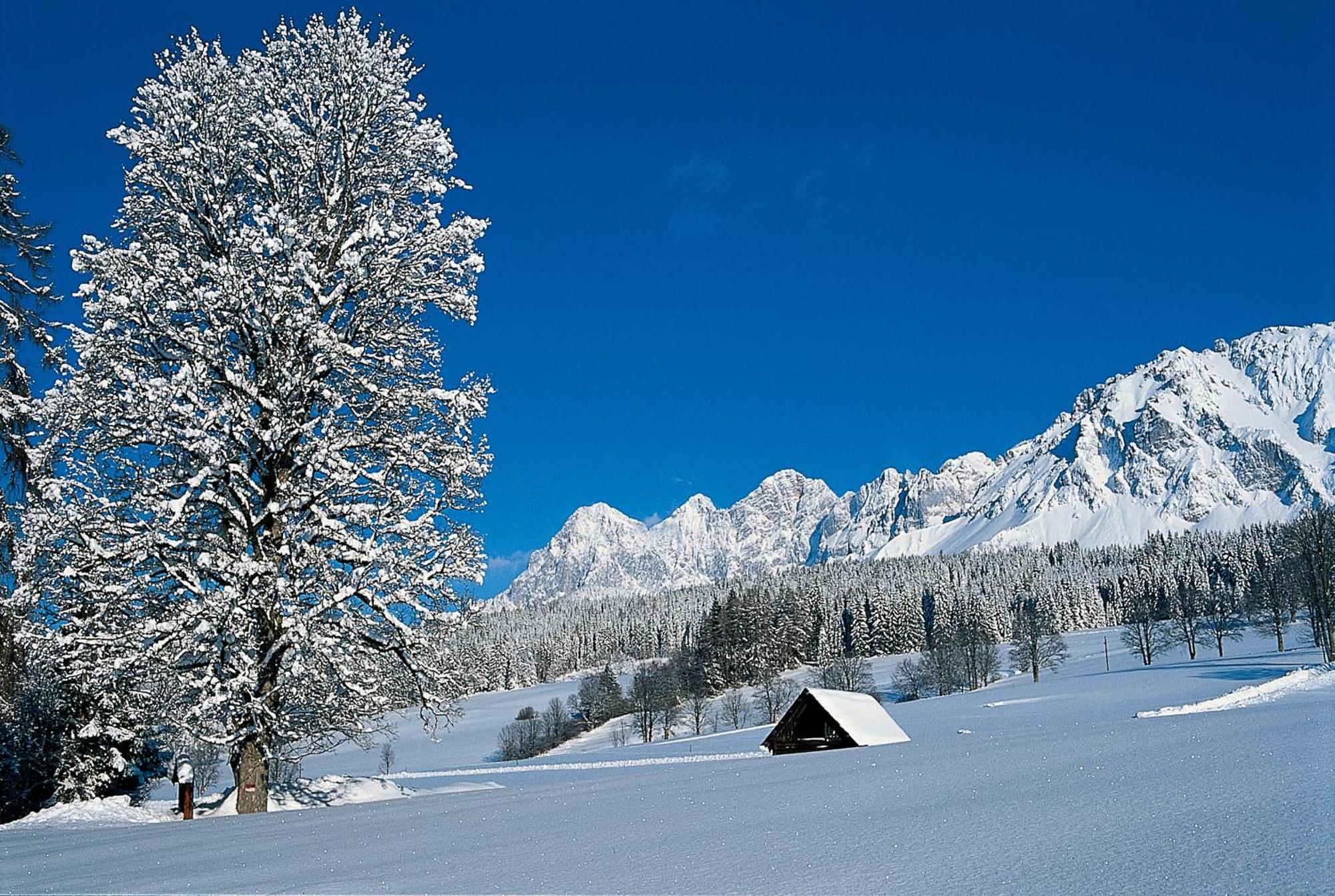 Bio-Holzhaus Und Landhaus Heimat Ramsau am Dachstein Ngoại thất bức ảnh