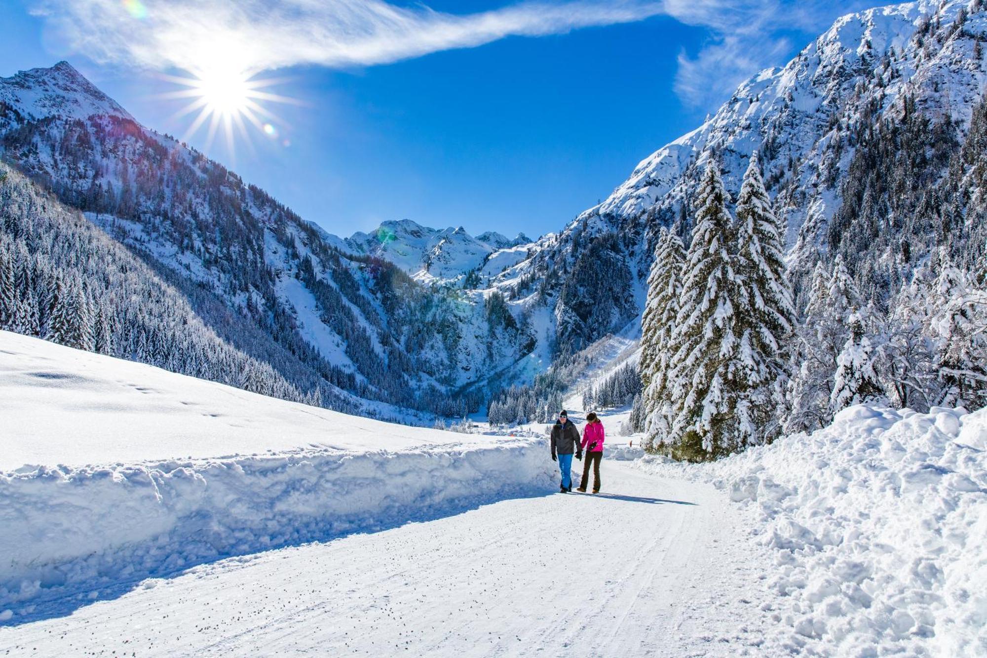 Bio-Holzhaus Und Landhaus Heimat Ramsau am Dachstein Ngoại thất bức ảnh