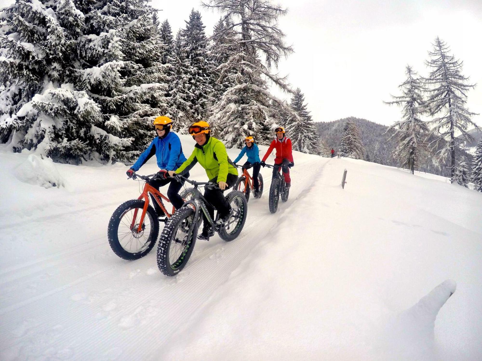 Bio-Holzhaus Und Landhaus Heimat Ramsau am Dachstein Ngoại thất bức ảnh