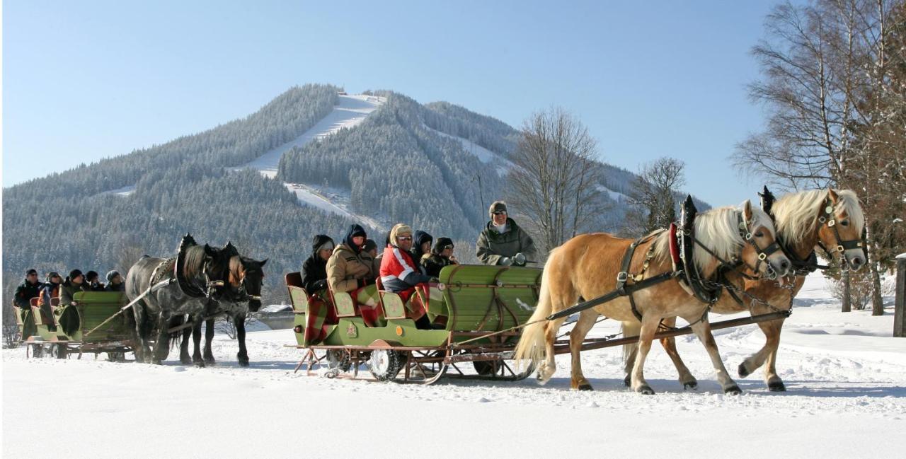 Bio-Holzhaus Und Landhaus Heimat Ramsau am Dachstein Ngoại thất bức ảnh